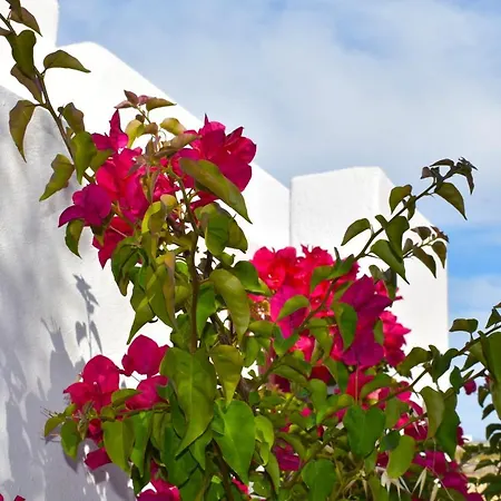 Apanema Paros Apartament Nausa