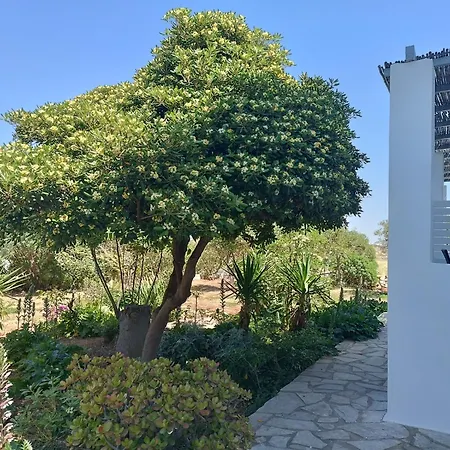 Apanema Paros Nausa