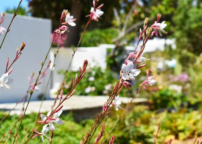 Apanema Paros 公寓