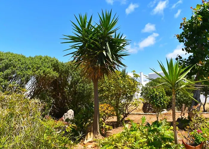 Apartamento Apanema Paros